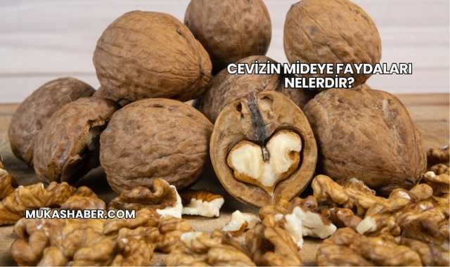 Cevizin Mideye Faydaları Nelerdir?