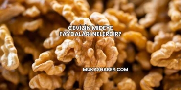 Cevizin Mideye Faydaları Nelerdir?