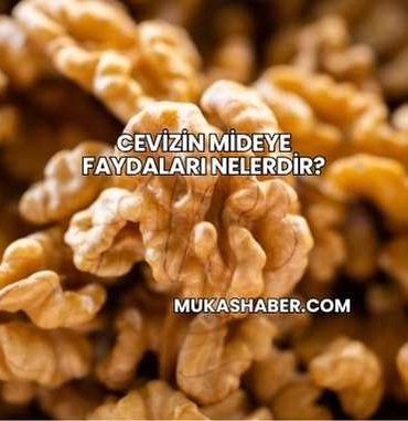 Cevizin Mideye Faydaları Nelerdir?