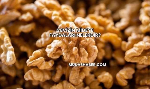 Cevizin Mideye Faydaları Nelerdir?
