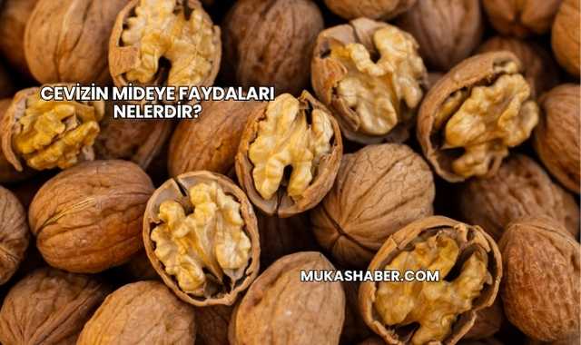 Cevizin Mideye Faydaları Nelerdir?