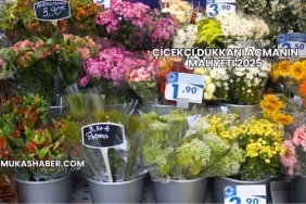 Çiçekçi Dükkanı Açmanın Maliyeti 2025