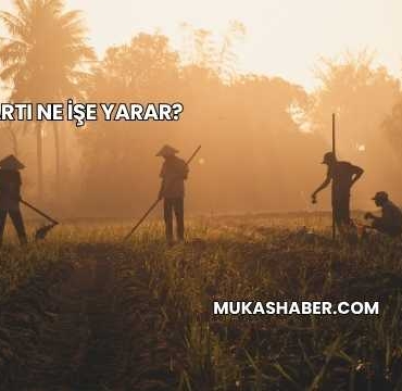 Çiftçi Kartı Ne İşe Yarar?