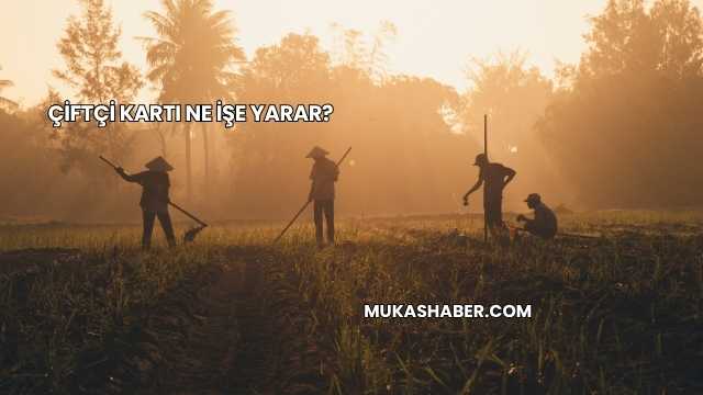 Çiftçi Kartı Ne İşe Yarar?