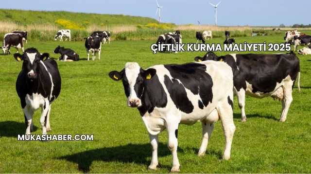 Çiftlik Kurma Maliyeti 2025