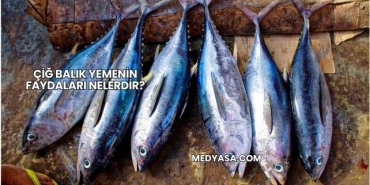 Çiğ Balık Yemenin Faydaları Nelerdir?