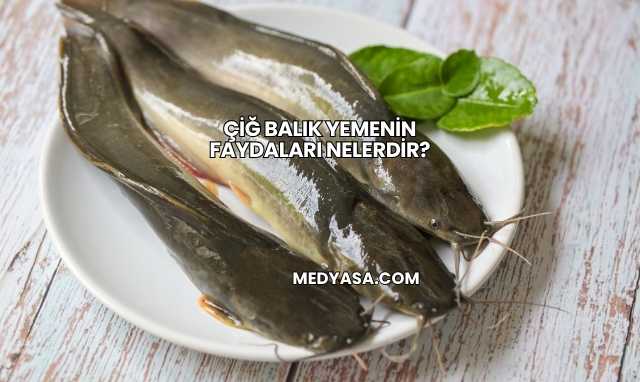 Çiğ Balık Yemenin Faydaları Nelerdir?