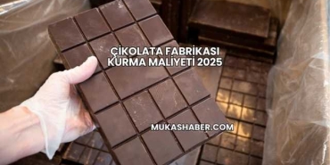 Çikolata Fabrikası Kurma Maliyeti 2025