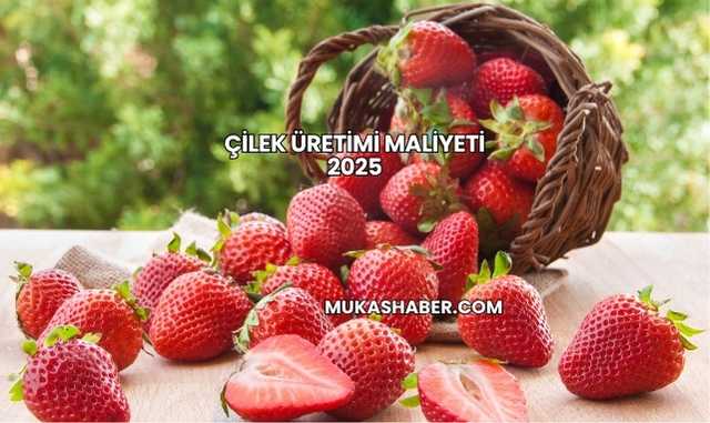 Çilek Üretimi Maliyeti 2025