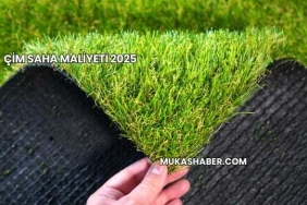 Çim Saha Maliyeti 2025