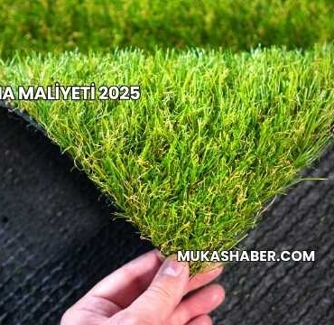 Çim Saha Maliyeti 2025
