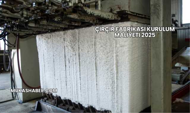 Çırçır Fabrikası Kurulum Maliyeti 2025