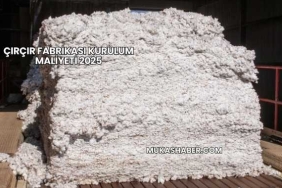 Çırçır Fabrikası Kurulum Maliyeti 2025