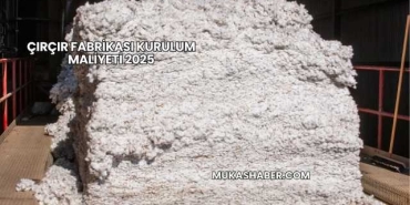 Çırçır Fabrikası Kurulum Maliyeti 2025