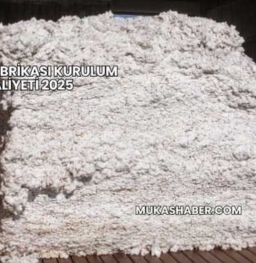 Çırçır Fabrikası Kurulum Maliyeti 2025