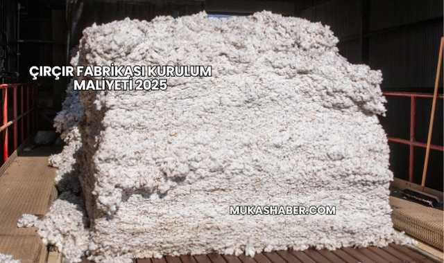 Çırçır Fabrikası Kurulum Maliyeti 2025