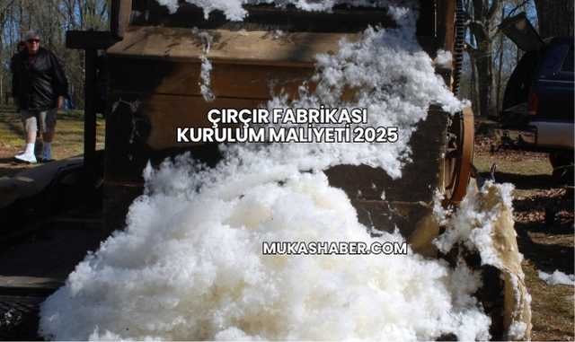 Çırçır Fabrikası Kurulum Maliyeti 2025