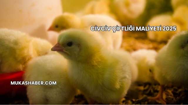Civciv Çiftliği Maliyeti 2025