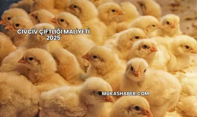 Civciv Çiftliği Maliyeti 2025