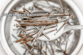 Çivi Üretim Tesisi Maliyeti 2025