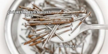 Çivi Üretim Tesisi Maliyeti 2025