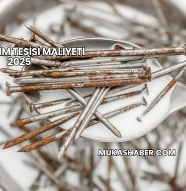 Çivi Üretim Tesisi Maliyeti 2025