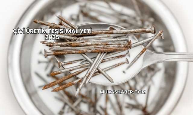 Çivi Üretim Tesisi Maliyeti 2025