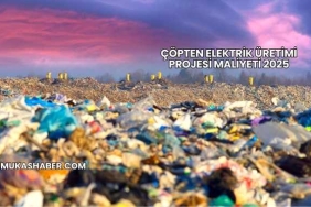 Çöpten Elektrik Üretimi Projesi Maliyeti 2025