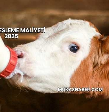 Dana Besleme Maliyeti 2025
