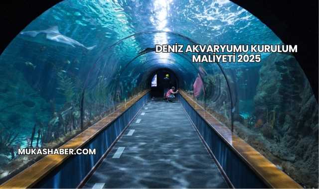 Deniz Akvaryumu Kurulum Maliyeti 2025
