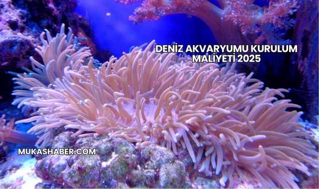 Deniz Akvaryumu Kurulum Maliyeti 2025