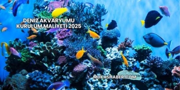 Deniz Akvaryumu Kurulum Maliyeti 2025