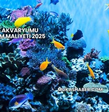 Deniz Akvaryumu Kurulum Maliyeti 2025
