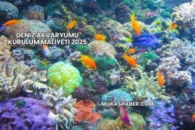 Deniz Akvaryumu Kurulum Maliyeti 2025