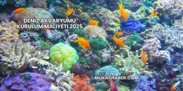 Deniz Akvaryumu Kurulum Maliyeti 2025