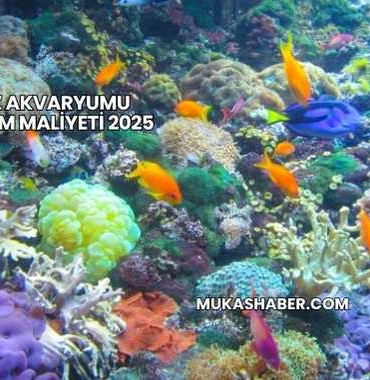 Deniz Akvaryumu Kurulum Maliyeti 2025