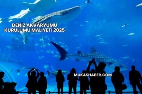 Deniz Akvaryumu Kurulumu Maliyeti 2025