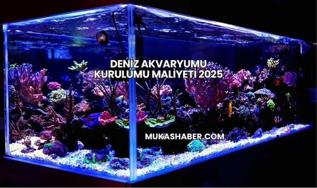 Deniz Akvaryumu Kurulumu Maliyeti 2025