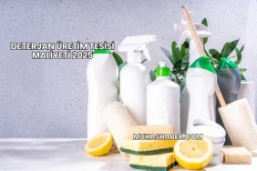 Deterjan Üretim Tesisi Maliyeti 2025