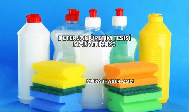 Deterjan Üretim Tesisi Maliyeti 2025