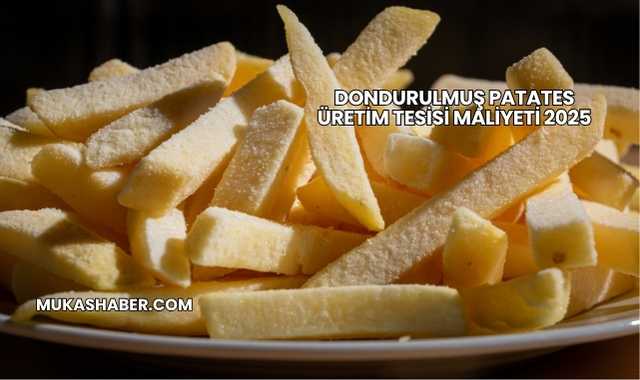 Dondurulmuş Patates Üretim Tesisi Maliyeti 2025