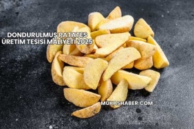 Dondurulmuş Patates Üretim Tesisi Maliyeti 2025