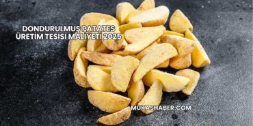Dondurulmuş Patates Üretim Tesisi Maliyeti 2025
