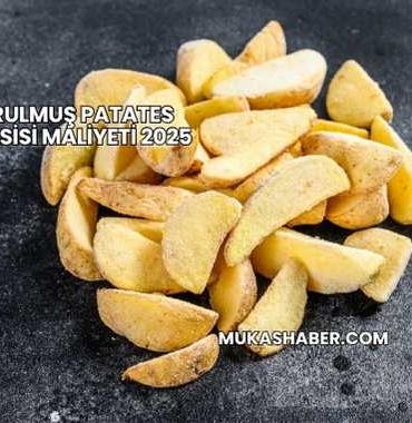 Dondurulmuş Patates Üretim Tesisi Maliyeti 2025