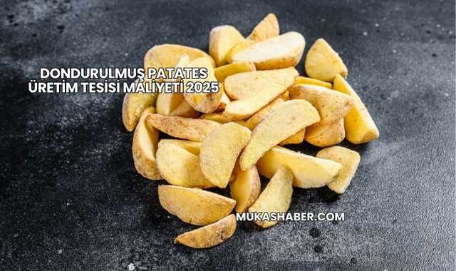 Dondurulmuş Patates Üretim Tesisi Maliyeti 2025