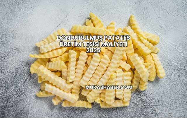 Dondurulmuş Patates Üretim Tesisi Maliyeti 2025