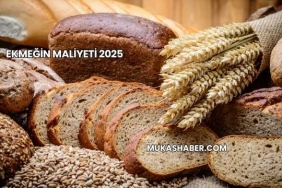 Ekmeğin Maliyeti 2025