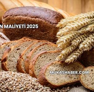 Ekmeğin Maliyeti 2025