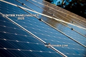 Elektrik Paneli Maliyeti 2025