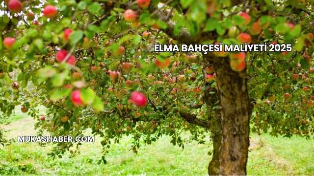 Elma Bahçesi Maliyeti 2025